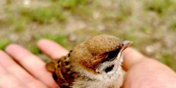 【好名聲網】紀實（韓輝升）